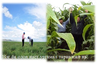 tuDNh50HoYXcncA.jpg