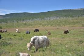 Хэнтий аймгийн Хэрлэнбаян-Улаан