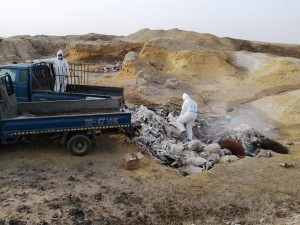 Аймаг дундын отрын бүс нутгуудад малын сэг зэм, ариутгал халдваргүйтгэлийн ажлыг зохион байгуулав